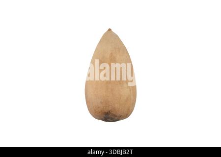 Avocado pit isolated on a white isolated background. A fresh avocado pit. Avocado seed isolated Stock Photo