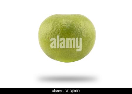 Isolated Sweetie fruit. One whole white grapefruit or Sweetie fruit isolated on white background. Stock Photo