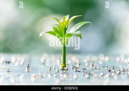 Advancements in electronic, digital technology are driving green engineering innovations, tech companies develop eco-friendly hardware, chip designs t Stock Photo