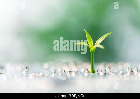 Advancements in electronic, digital technology are driving green engineering innovations, tech companies develop eco-friendly hardware, chip designs t Stock Photo