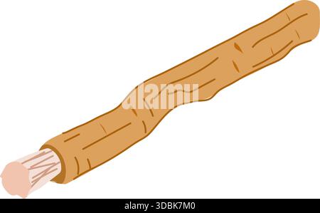 Traditional miswak stick providing natural dental hygiene Stock Vector