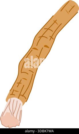 Miswak natural teeth cleaning stick for oral hygiene Stock Vector