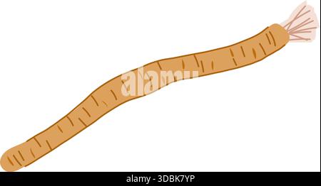 Miswak natural oral care dental hygiene stick Stock Vector