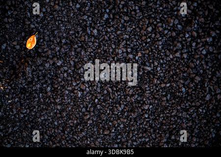 An overhead, dark, and textured close-up of wet, newly laid asphalt or rough aggregate, punctuated by a single, small, brightly glowing orange-yellow Stock Photo