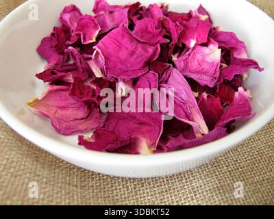 Dried rose petals from the potato rose in a porcelain dish, Rosa rugosa Stock Photo