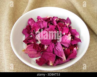 Dried rose petals from the potato rose in a porcelain dish, Rosa rugosa Stock Photo