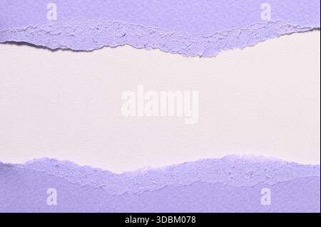 Torn purple paper with ragged edges revealing a centered blank white space, minimalist textured frame for text or design - horizontal - Stock Photo