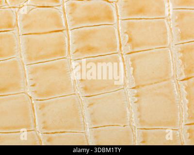 Abstract texture of synthetic leather, beige background. Stock Photo