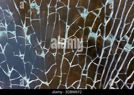 Top-down close-up of cracked tempered glass with fracture lines branching upward like tree branches. The geometric pattern of the cracks forms an orga Stock Photo