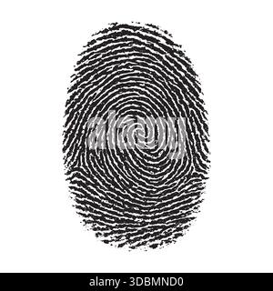 Detailed Black Fingerprint Swirl Pattern Vector Illustration Stock Vector