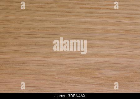oak wood texture background Stock Photo