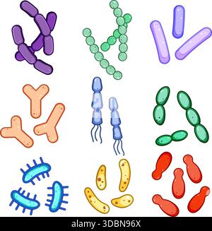 Different types of probiotic bacteria and microorganism set Stock Vector