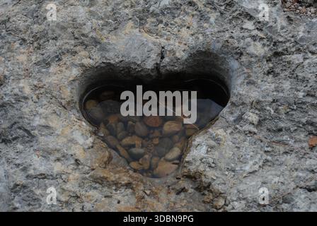 A natural heart shaped hollow on a limestone rock filled up pebbles and calm-shells at the Adriatic seaside Stock Photo