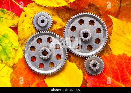 Cogwheels in front of autumn leaves, symbol photo time, time change and winter time Stock Photo