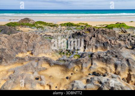 A coastal scene shows textured rocks, green algae and shallow tidal pools along a sandy shore. Gentle waves roll in under a clear blue sky. Landscape Stock Photo