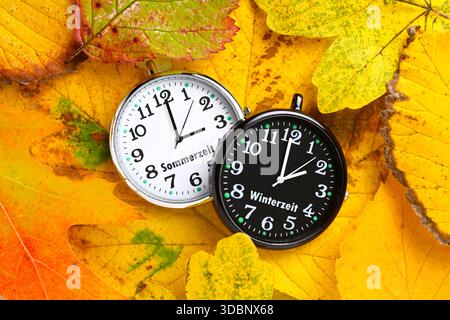 White and black clock with the inscriptions summer time and winter time on autumn leaves, symbolic photo time change to winter time, photomontage Stock Photo