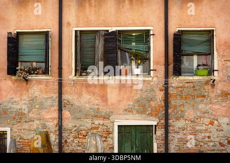Windows with weathered old green blinds, black shutters, and plants on windw-sills, surrounded by crumbling stuccoed brick walls and black drainpipes in Venice. The tops of mooring posts in the foreground. Stock Photo