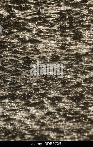 water surface of the Gulf of Finland in heavily rain, raindrops, storm Stock Photo