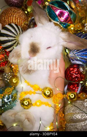 beautiful white bunny lies among the Christmas decorations Stock Photo