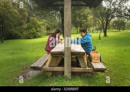 Two senior women preparing food for a picnic lunch while sitting at a wooden table in a park Stock Photo