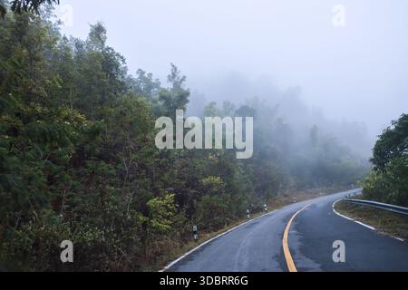 Misty winding asphalt road curve passing through lush green pine forest up mountain peak with foggy weather condition creating mysterious and calm atm Stock Photo