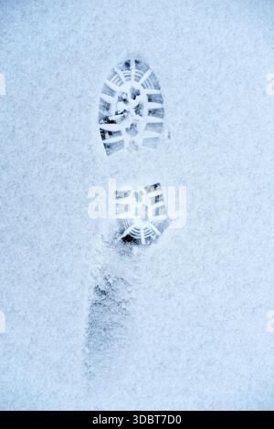 Two aligned boot sole imprints in fresh fine snow, top-down vertical view, compacted snow texture, visible tread geometry, overcast lighting. Stock Photo