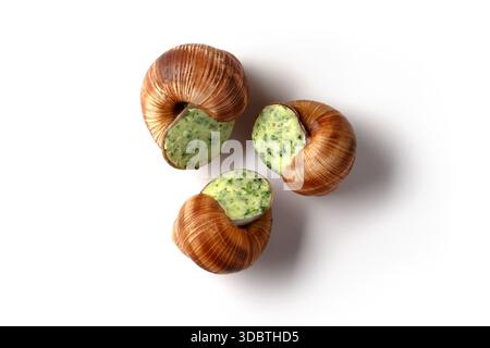 Three escargots filled with creamy herb butter, arranged on a clean white background for a fresh, gourmet presentation. Stock Photo