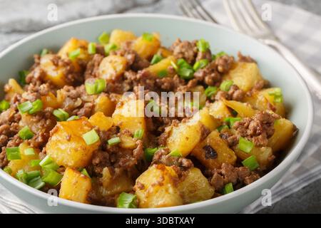 Fried potatoes with ground beef and green onions close-up in a plate on the table. Horizontal Stock Photo