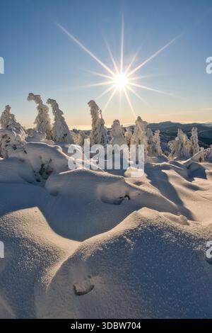 View of a sunburst illuminates snow-laden trees in a serene winter landscape, casting long shadows on the pristine snow, Mala Fatra, Zilina Region, Sl Stock Photo