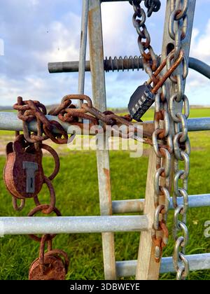 Padlocks and chains securing a gate on a farm in the U.K. Stock Photo