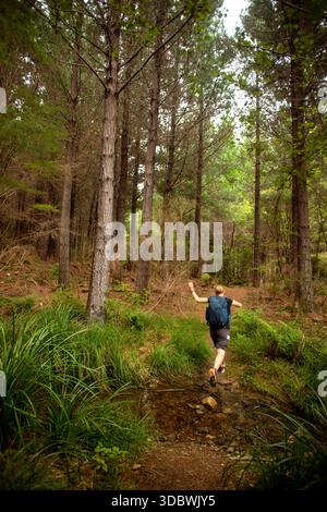 View of a hiker with arms outstretched runs down a narrow dirt path through the dense, verdant forest under a canopy of trees, Nydia Bay, Marlborough Stock Photo