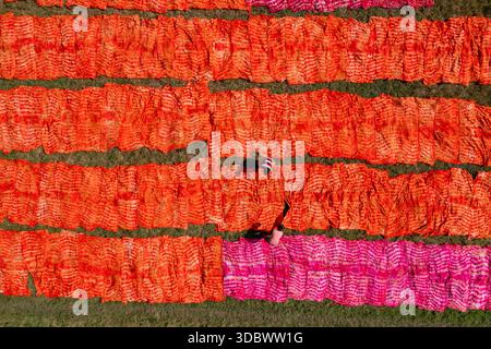 Aerial view of vibrant red and pink textiles spread out to dry, creating a striking pattern against the green grass, Narayanganj, Dhaka Division, Bang Stock Photo
