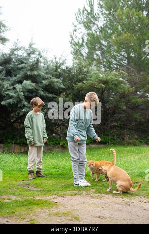 Two brothers playing with their ginger cat and dog in a backyard garden Stock Photo