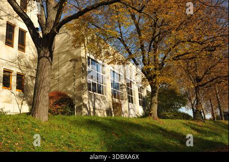 Pforzheim, Germany Dezember Sunlit autumn campus building on slope framed by golden trees casting long shadows, glass windows Stock Photo