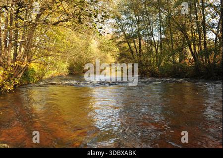 Pforzheim, Germany Dezember wide autumn river through sunlit woodland, gentle meander with reflective surface, treelined shores Stock Photo