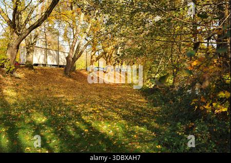 Pforzheim, Germany Dezember Sunlit park slope carpeted with colorful leaves, long shadows stretching across grass. Picture perfect Stock Photo