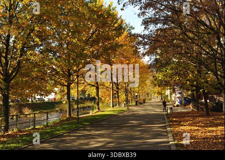 Pforzheim, Germany Dezember sunlit autumn riverside path lined with golden trees and fallen leaves covering asphalt walkway, distant Stock Photo