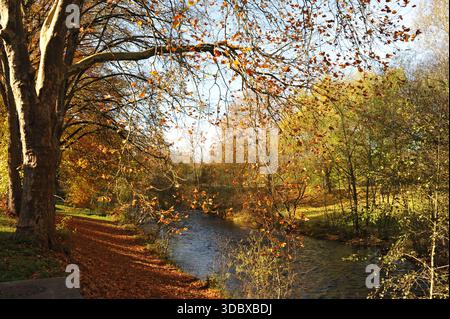 Pforzheim, Germany Dezember sunlit creek running through golden foliage, shimmering water, warm tones, soft reflections, tranquil Stock Photo