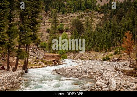 View of a rushing river winding through a rocky bed, flanked by dense evergreen trees and a small wooden structure, Kalam, Khyber Pakhtunkhwa, Pakista Stock Photo