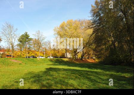 Pforzheim, Germany Dezember open parkland with autumn trees and wide lawn, sunlit clearing ideal for picnic, yoga, outdoor wellness Stock Photo