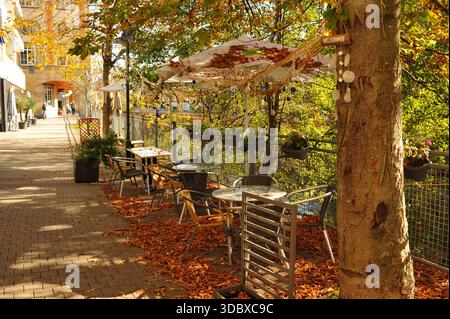 Pforzheim, Germany Dezember sunlit sidewalk seating framed by autumn trees, stacked chairs and empty tables, soft leaf carpet Stock Photo