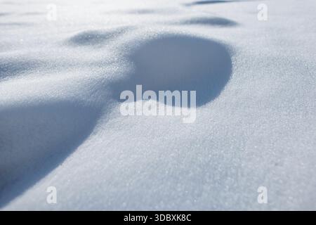 Close-up Of Pure White Snow Surface. Bumpy Texture With Soft Shadows, Perfect For Winter, Christmas, And Nature Backgrounds. Winter And Snow Texture Stock Photo