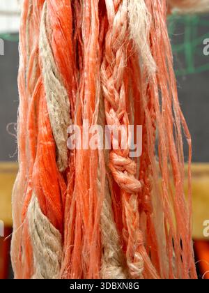 Frayed, partially knotted orange climbing rope ends that are heavily worn from sport climbing. Copyspace. Stock Photo