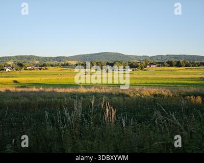 Golden hour over the rolling fields and meadows near Kobylanka village by Gorlic, Poland, with individual grass spikes illuminated in the foreground. Stock Photo