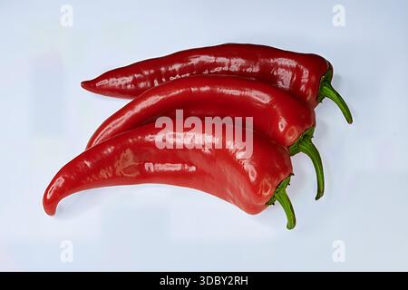 Three glossy red chili peppers stacked on a light background. Features vibrant red color and bright green stems. Close-up shot. Stock Photo