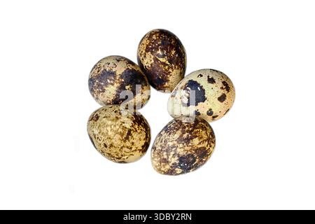 Five speckled bird eggs (quail/seabird) arranged in a circle on a clean white background. Food, pattern, and Easter concept. Close-up photo. Stock Photo