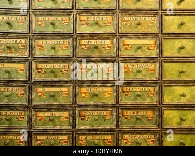 Vintage green apothecary cabinet with labeled drawers - historic pharmacy display in Hungarian museum Stock Photo