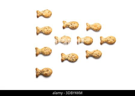 Fish Shaped Cheese and Seeds Crackers isolated on a White Background Stock Photo