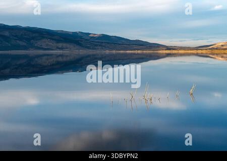 Panoramic view of golden hills and Carson Mountains reflecting in calm water with yellow reeds and copy space Stock Photo