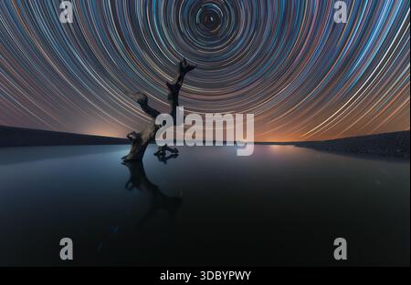 A mesmerizing long exposure photograph capturing star trails swirling in the night sky above a dead tree reflected in calm water. The concentric circl Stock Photo
